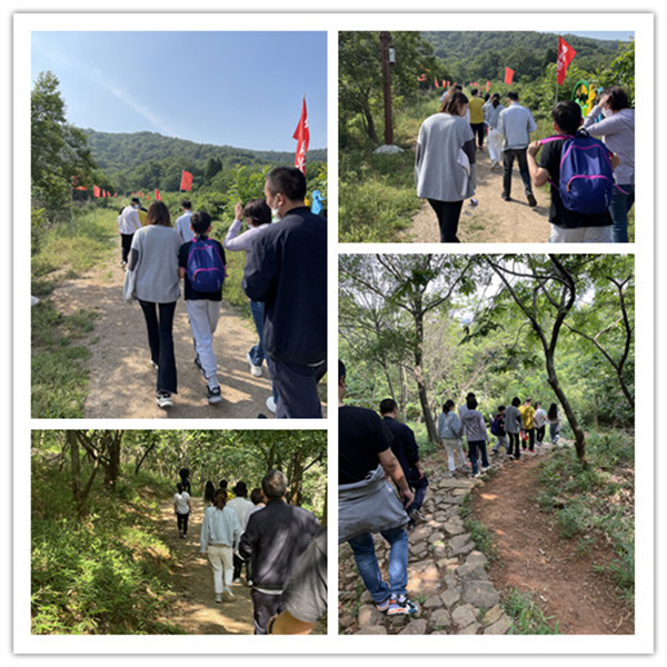 登山徒步,團(tuán)建,賽維亞貨架廠家